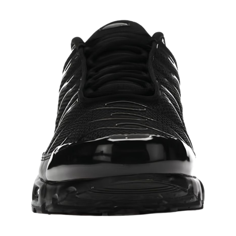 Nike Air max plus triple black