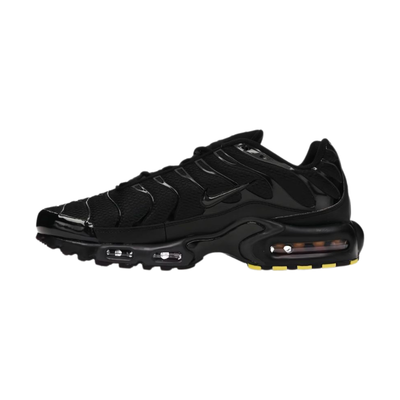Nike Air max plus triple black