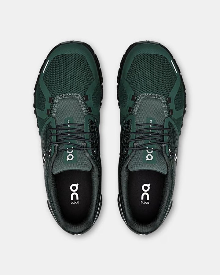 ON Cloud 6 'Evergreen'