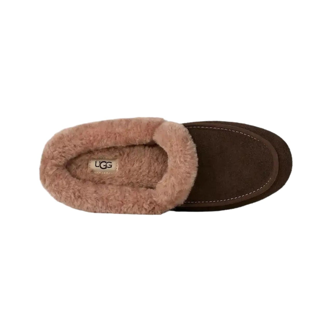 UGG Ansley Mule - Dusted Cocoa